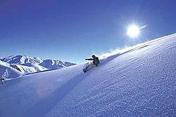 Snowboard
