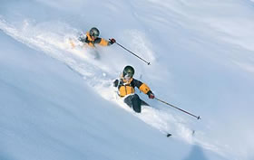 Freeride