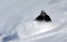 Jasen powder