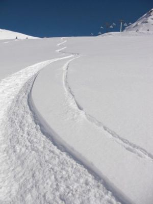 Powder_skiology
