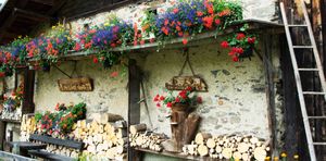Megeve copy