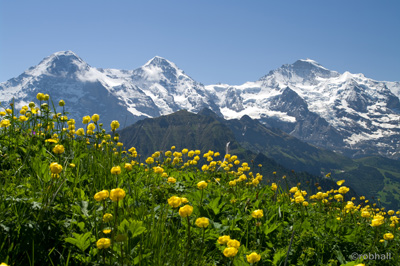 Jungfrau-Region_sm Jungfrau-Region_sm