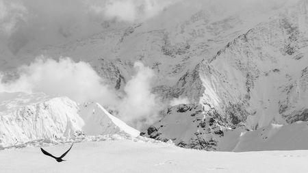 Grande-platieres-choucas2 (1 of 1) Grande-platieres-choucas2 (1 of 1)
