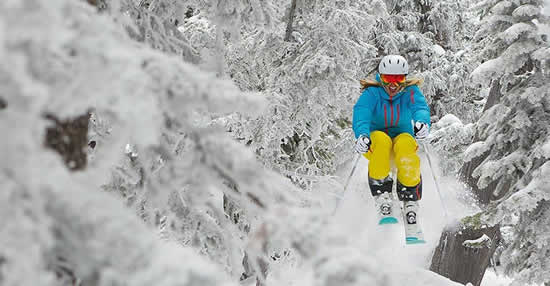 Skishow1 Skishow1