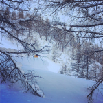 Powder_snowboarder