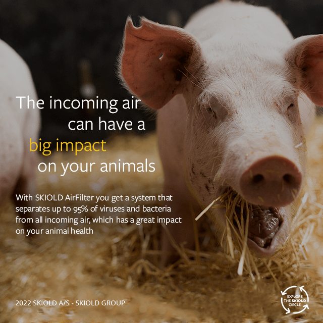 Skiold Airfilter - Best Mountain Wallpapers in Ultra HD