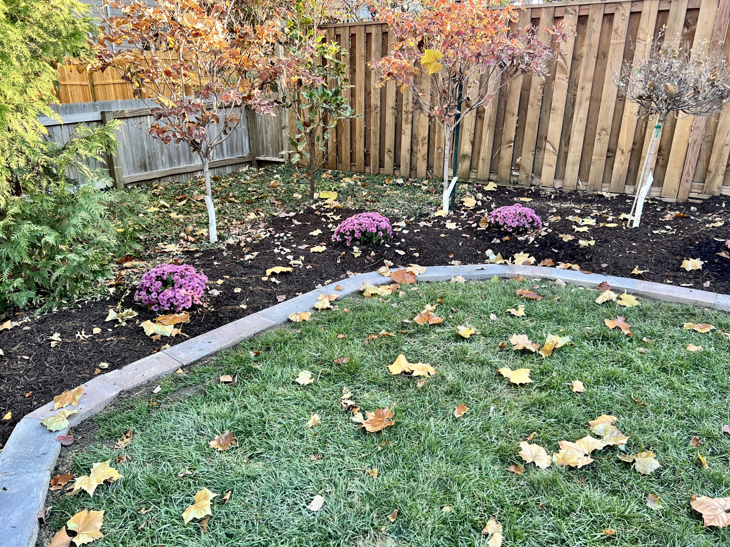 add-plant-mulch-beds-landscaping-Overland-Park-Kansas-City