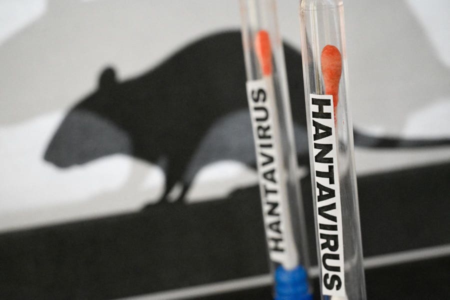 Government of Saint Kitts and Nevis Monitoring Situation Related to Hantavirus