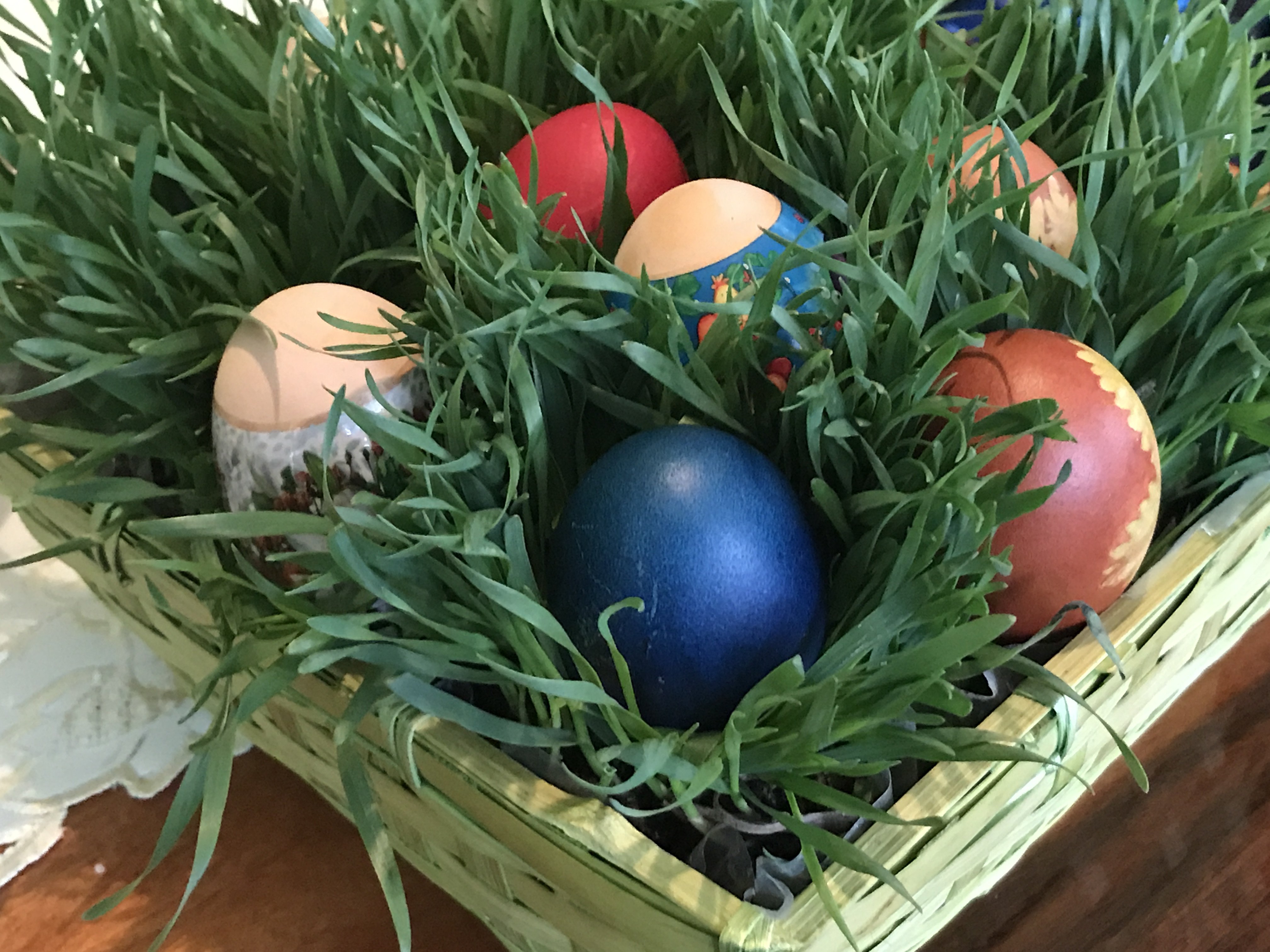 Mothers plant wheat in the baskets a few weeks before Easter.