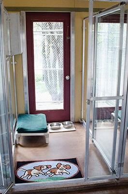 skydancepetlodge on skydance pet lodge new berlin wi