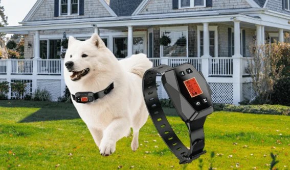Wireless Dog Fence System