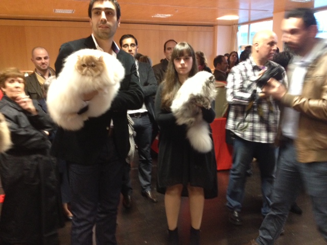 National Winner 2012