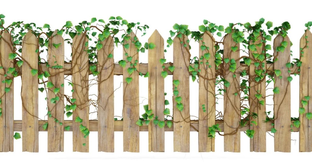 Climbing plant trellis