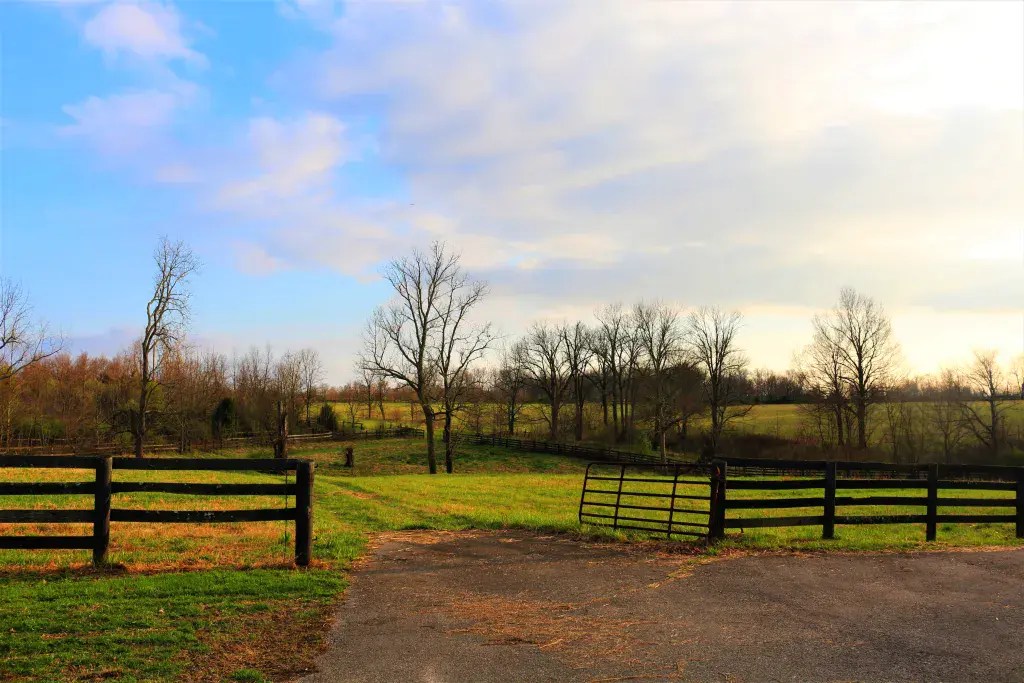 Run-in shed in secure equestrian paddock at Skylight Stables
