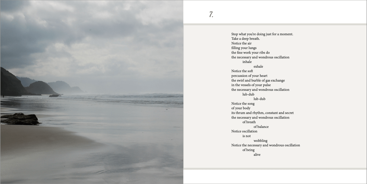 Sustaining Wonder, 2 pages, interior