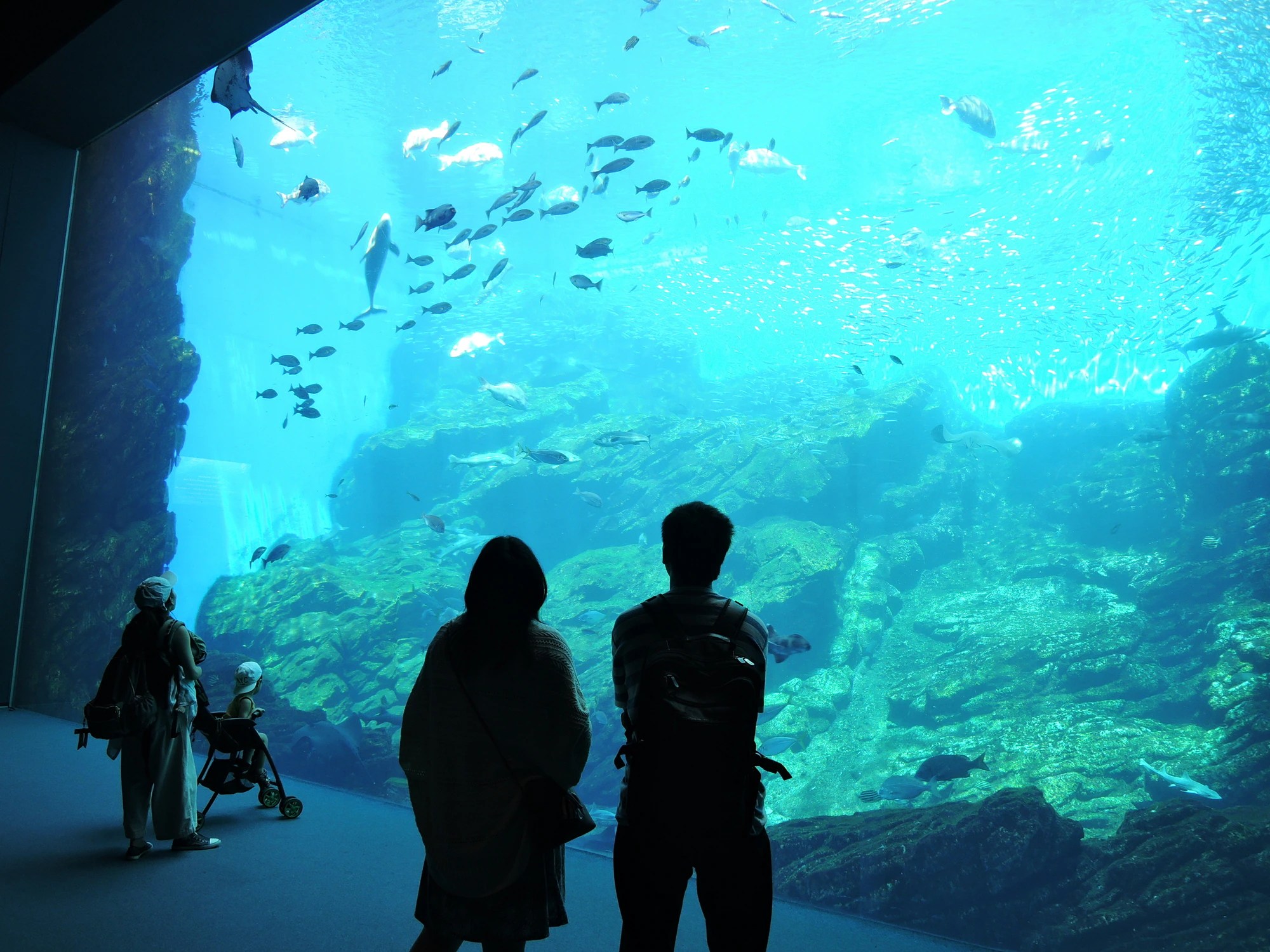 【仙台うみの杜水族館】日本酒を呑んで東北応援！「魚を肴に 日本酒ナイト水族館」10/24開催！