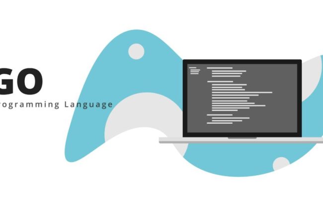 What Is Go Programming Language And When To Use It - Skywell Software