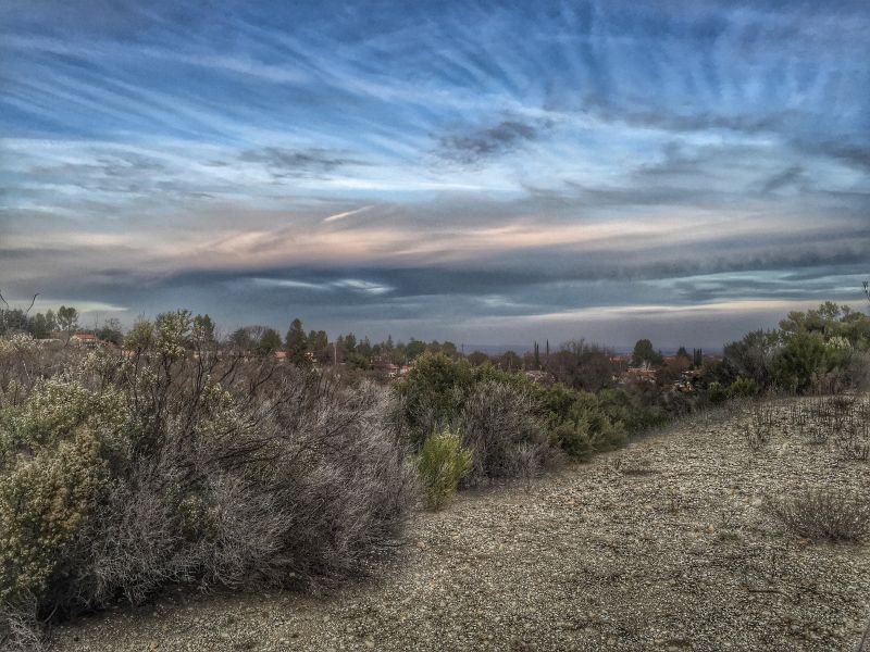 Week 16 Training Recap Slacker Runner - Premium Gradient Photo Gallery - 4K