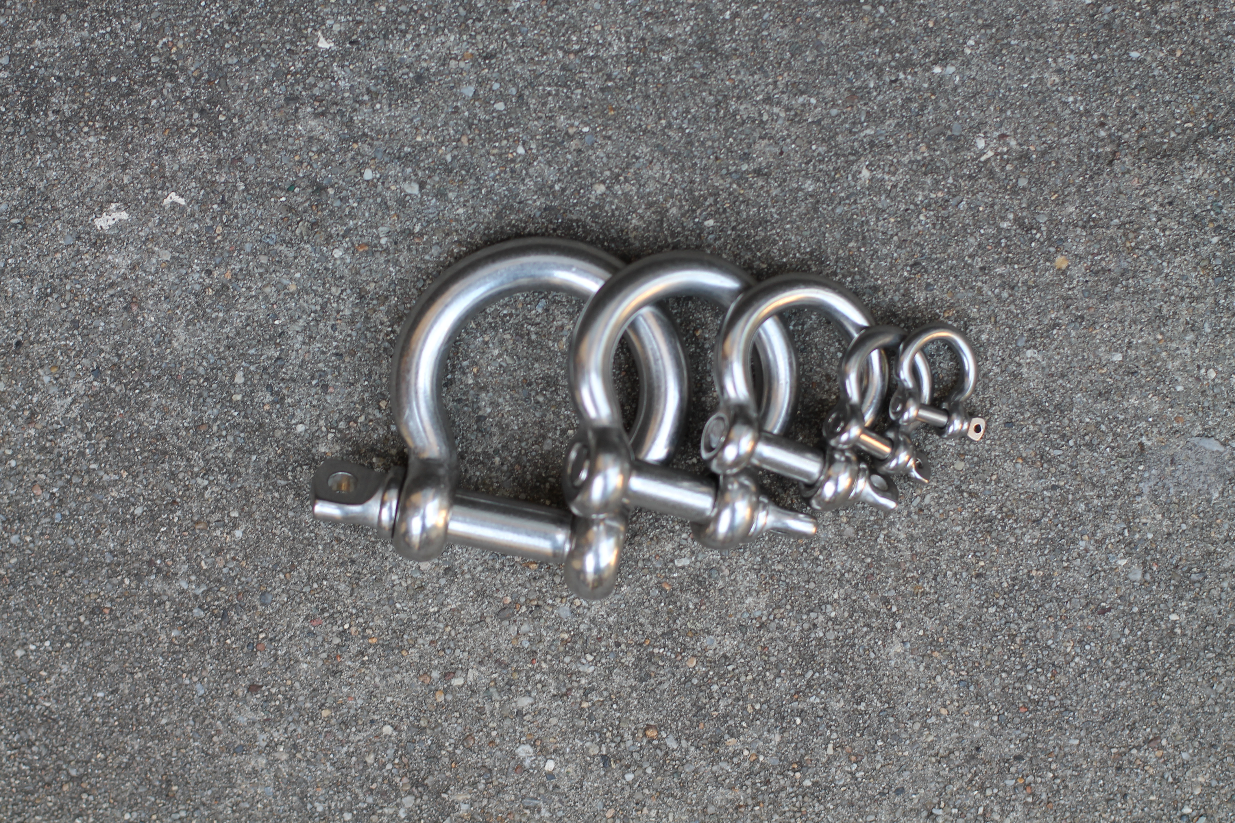 Stainless Steel Shackle