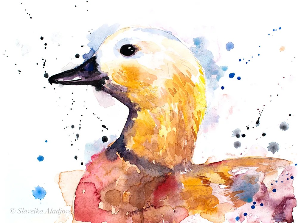 Ruddy shelduck watercolor painting, limited edition art print by Slaveika Aladjova, view 3
