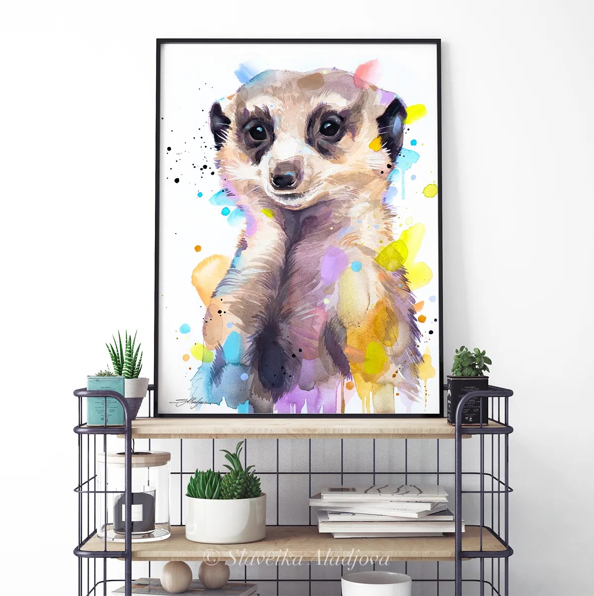 Meerkat