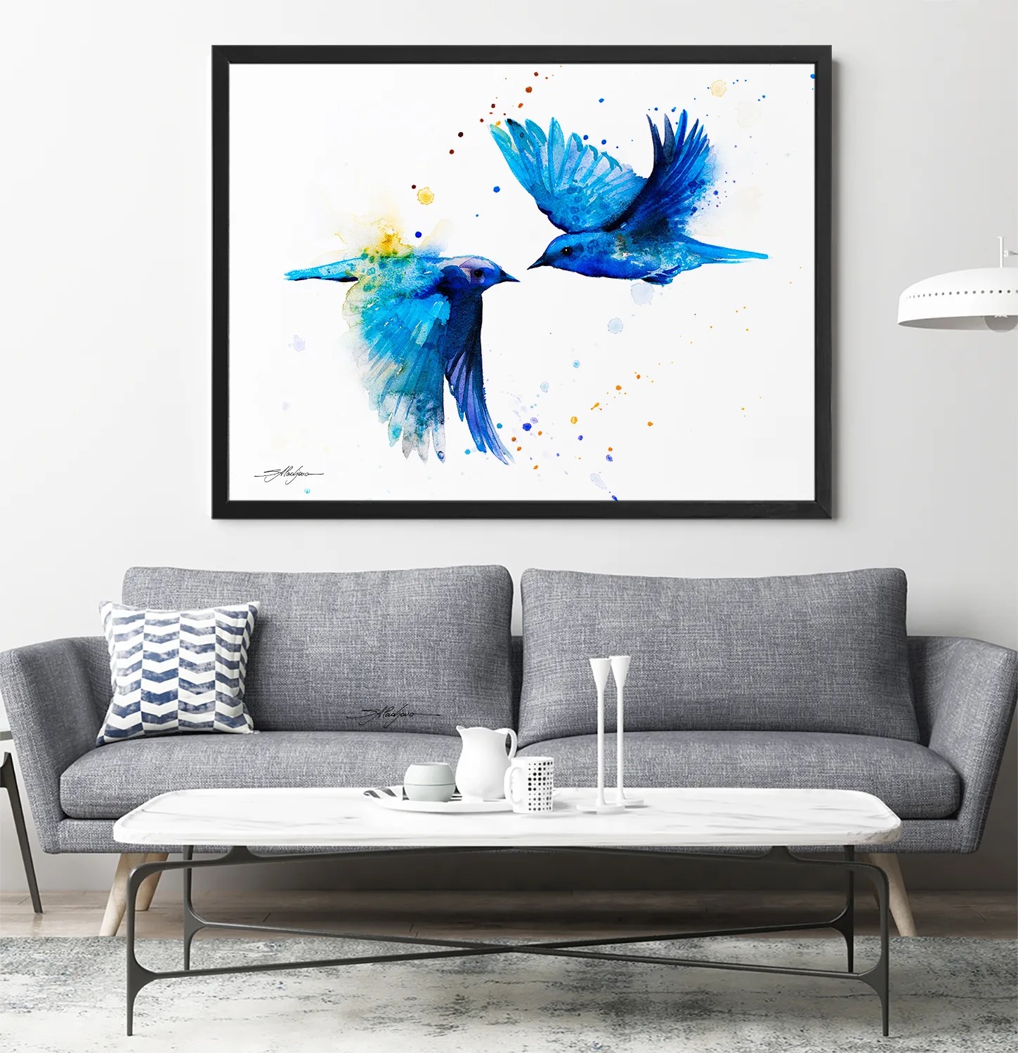 Mountain bluebird