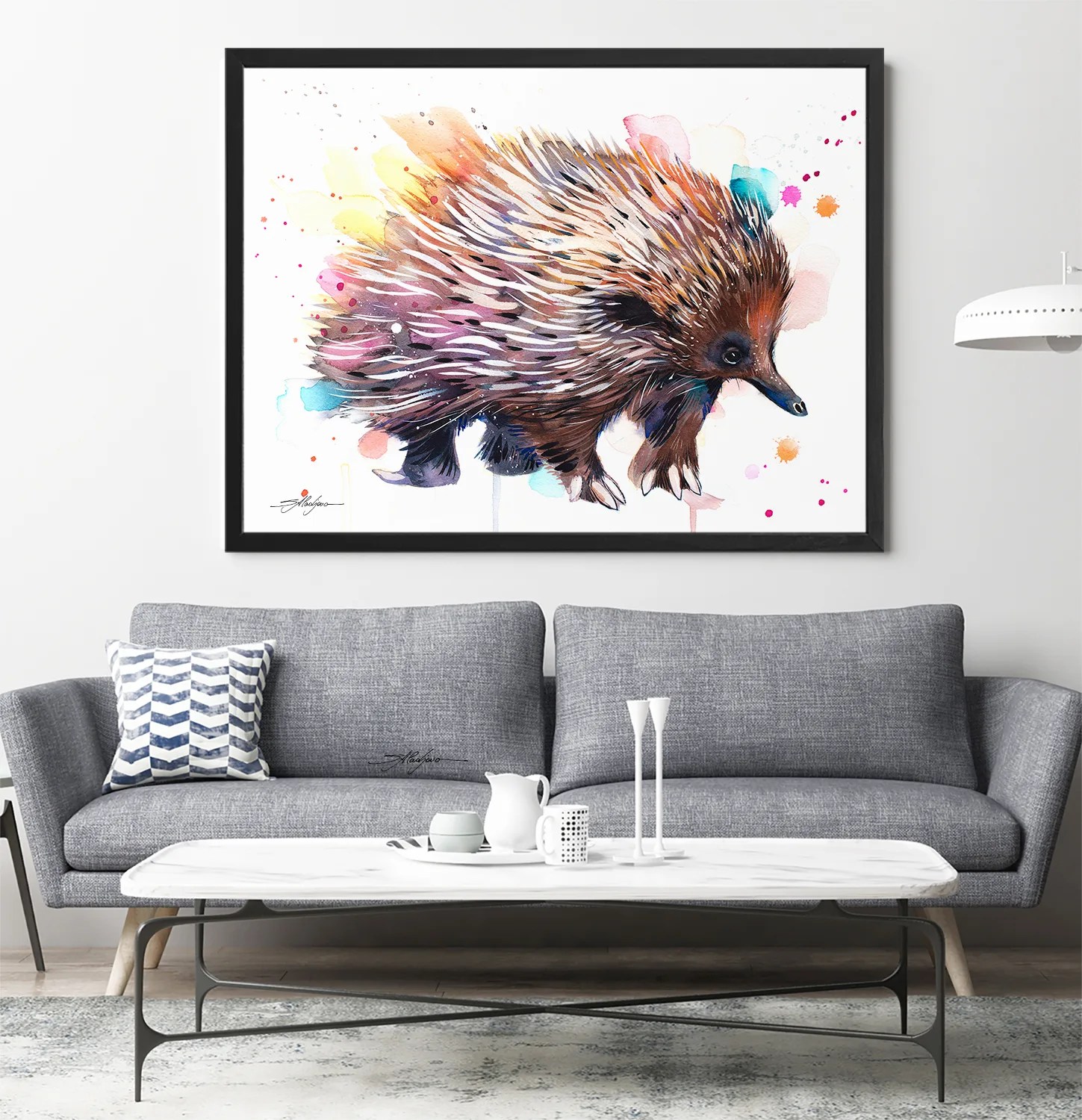 Short-beaked echidna