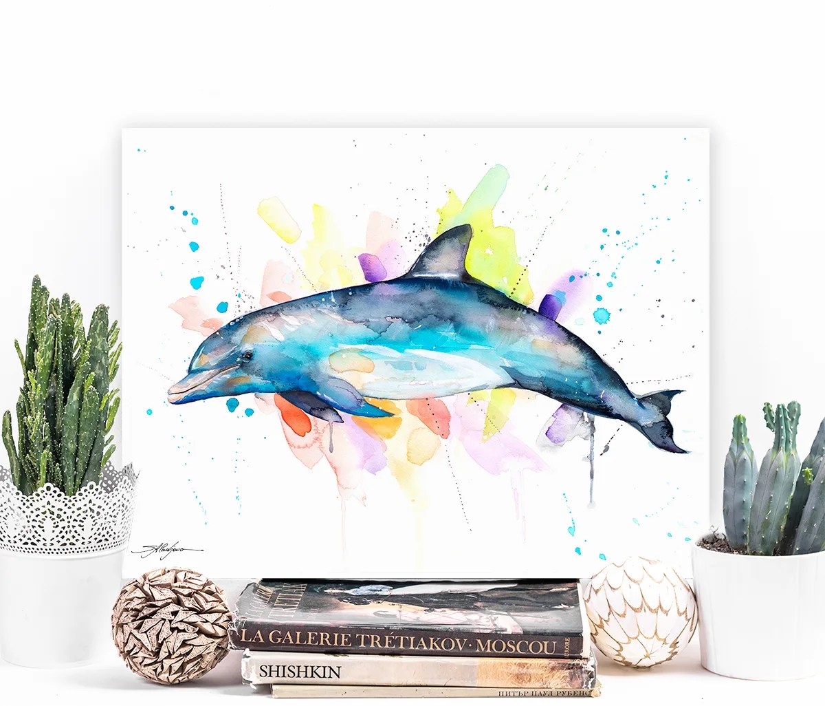 Bottlenose dolphin