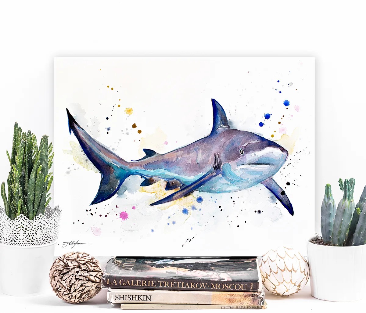 Grey reef shark