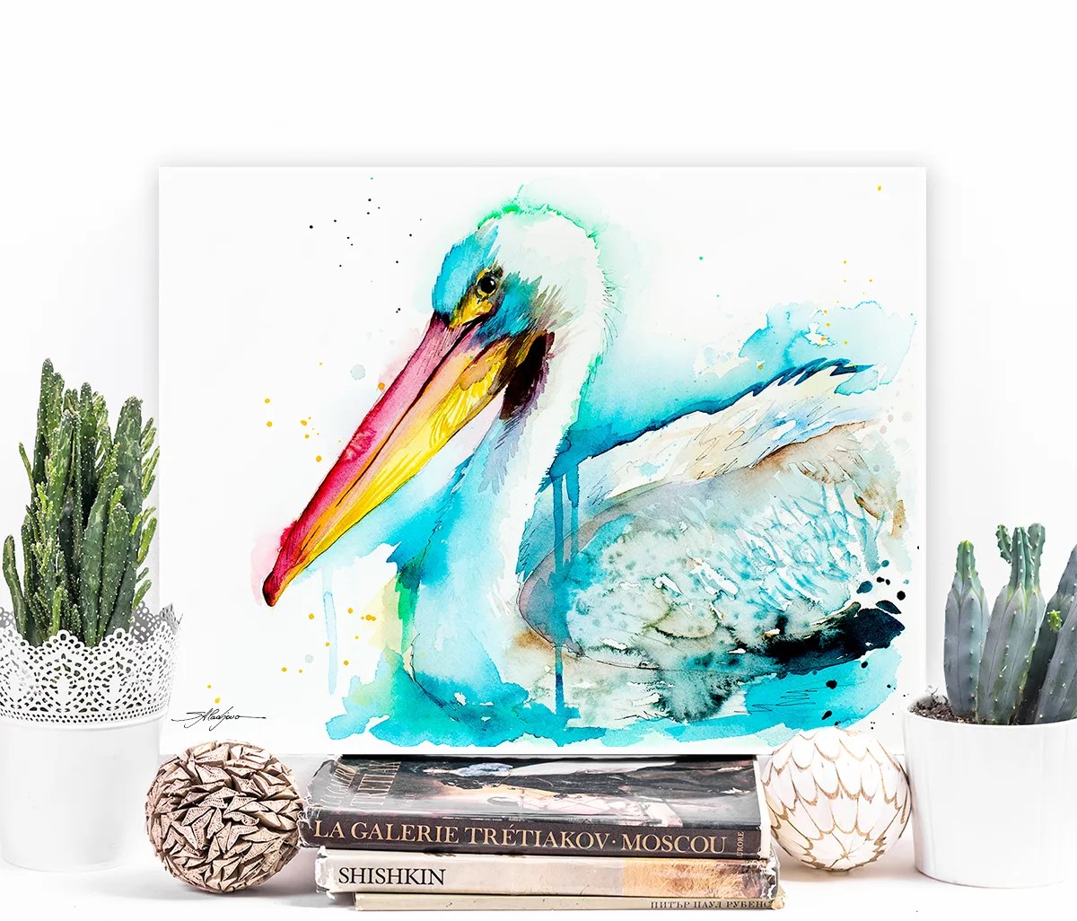 American White Pelican