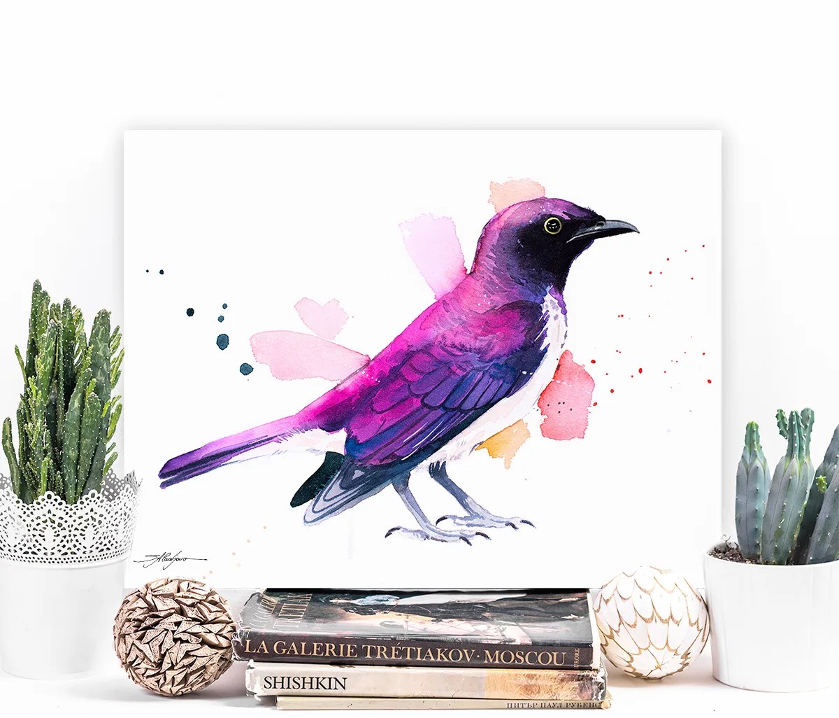 Amethyst Starling