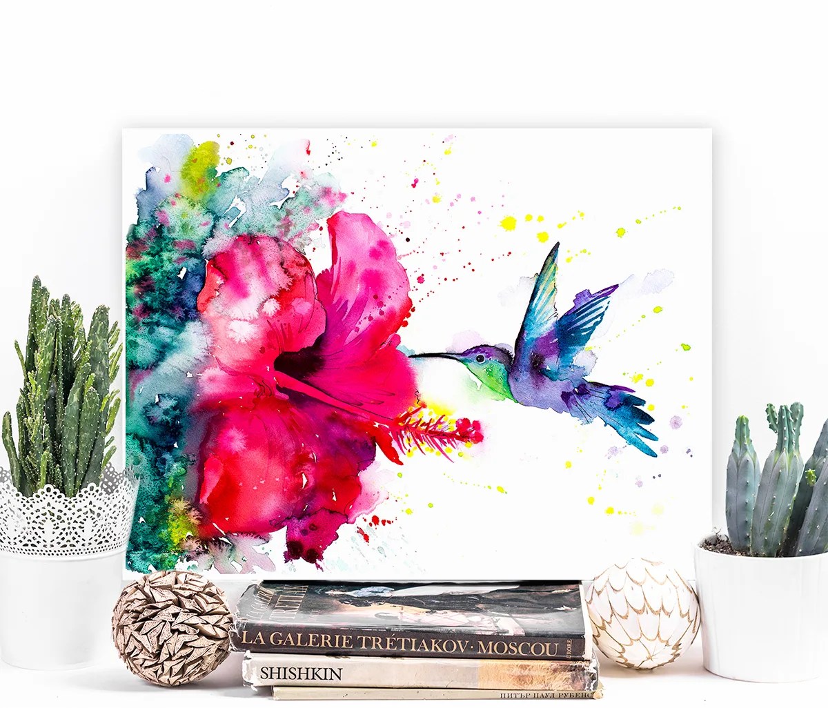 Violetear Hummingbird