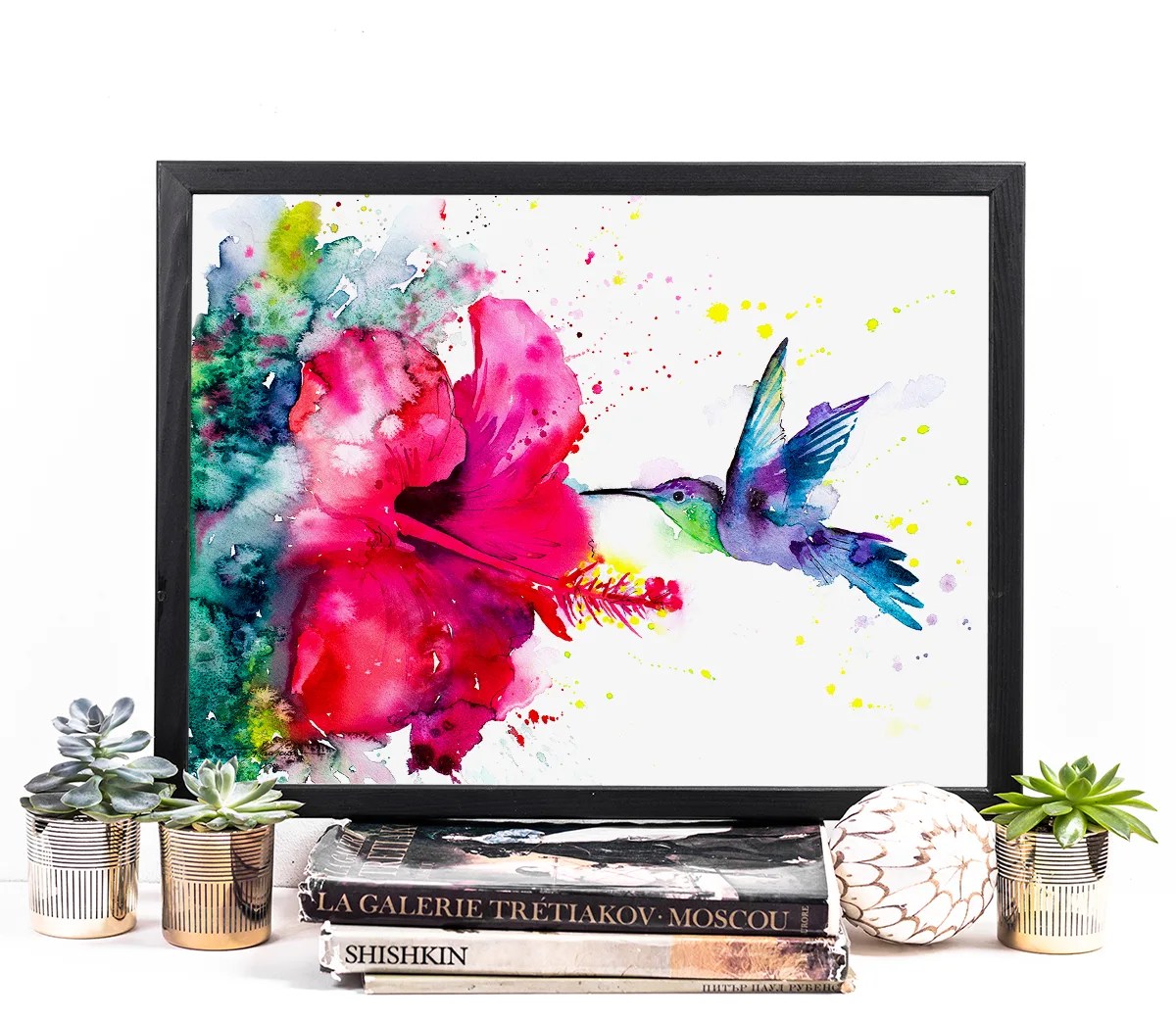 Violetear Hummingbird