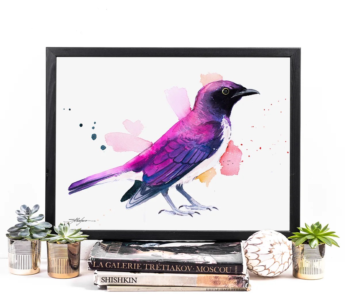 Amethyst Starling