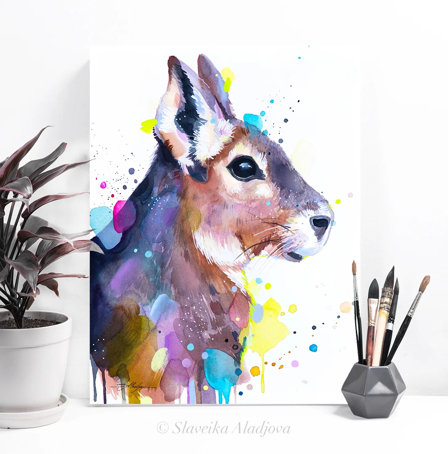 Patagonian mara