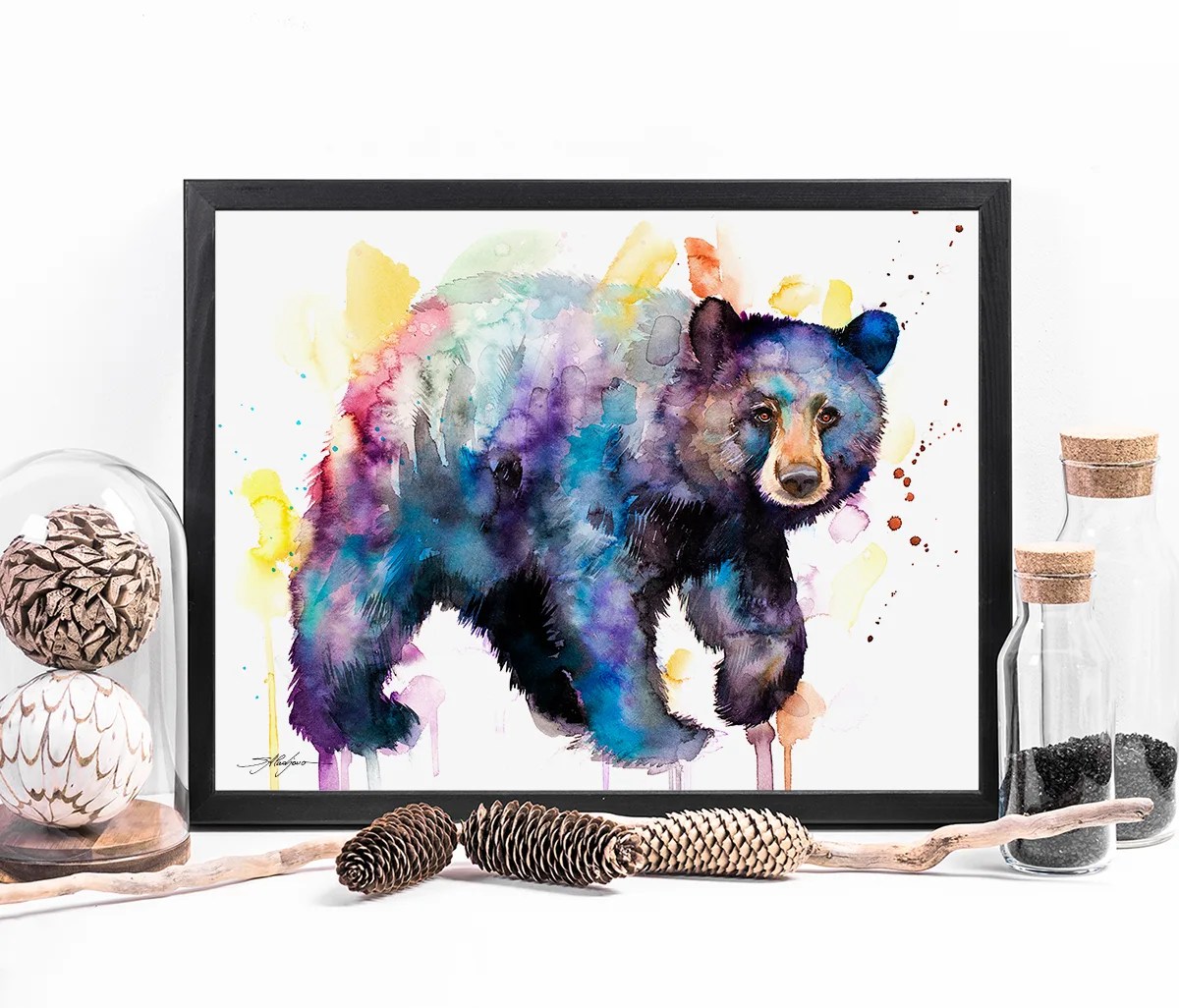 American black bear