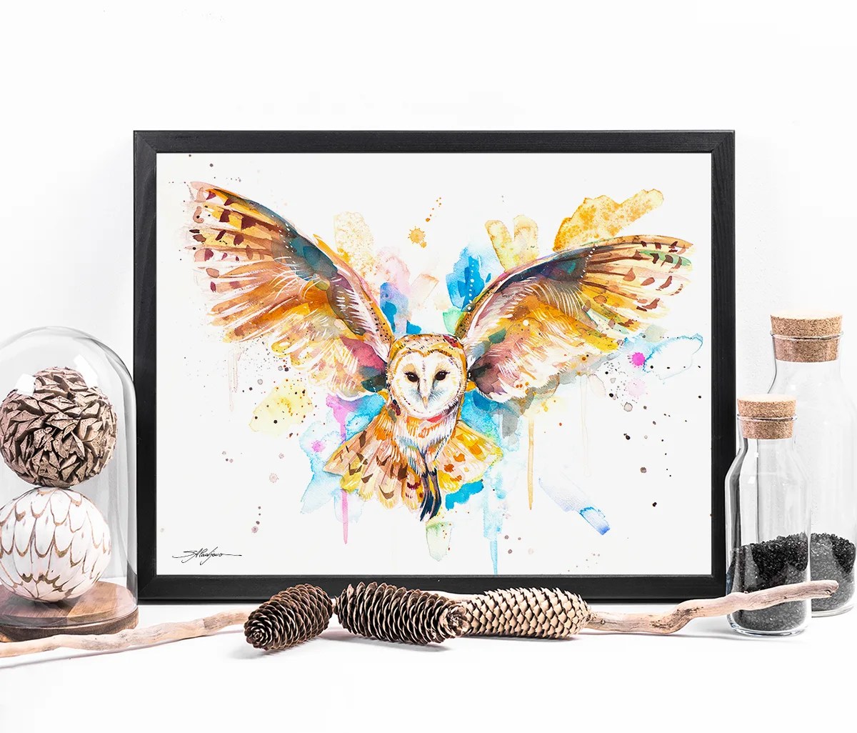 Barn owl
