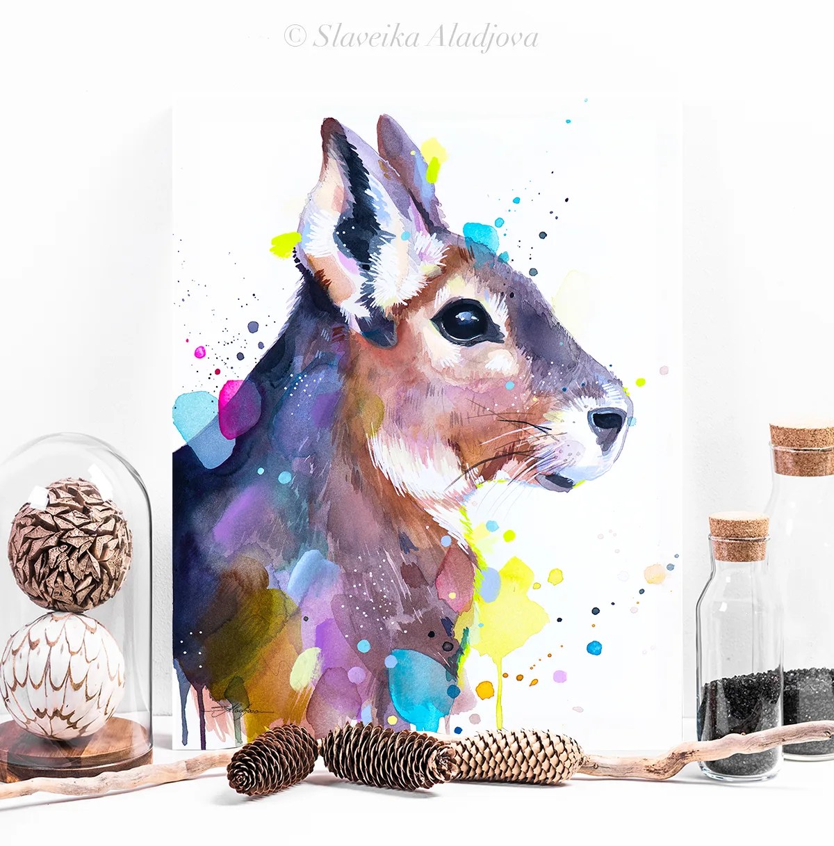 Patagonian mara