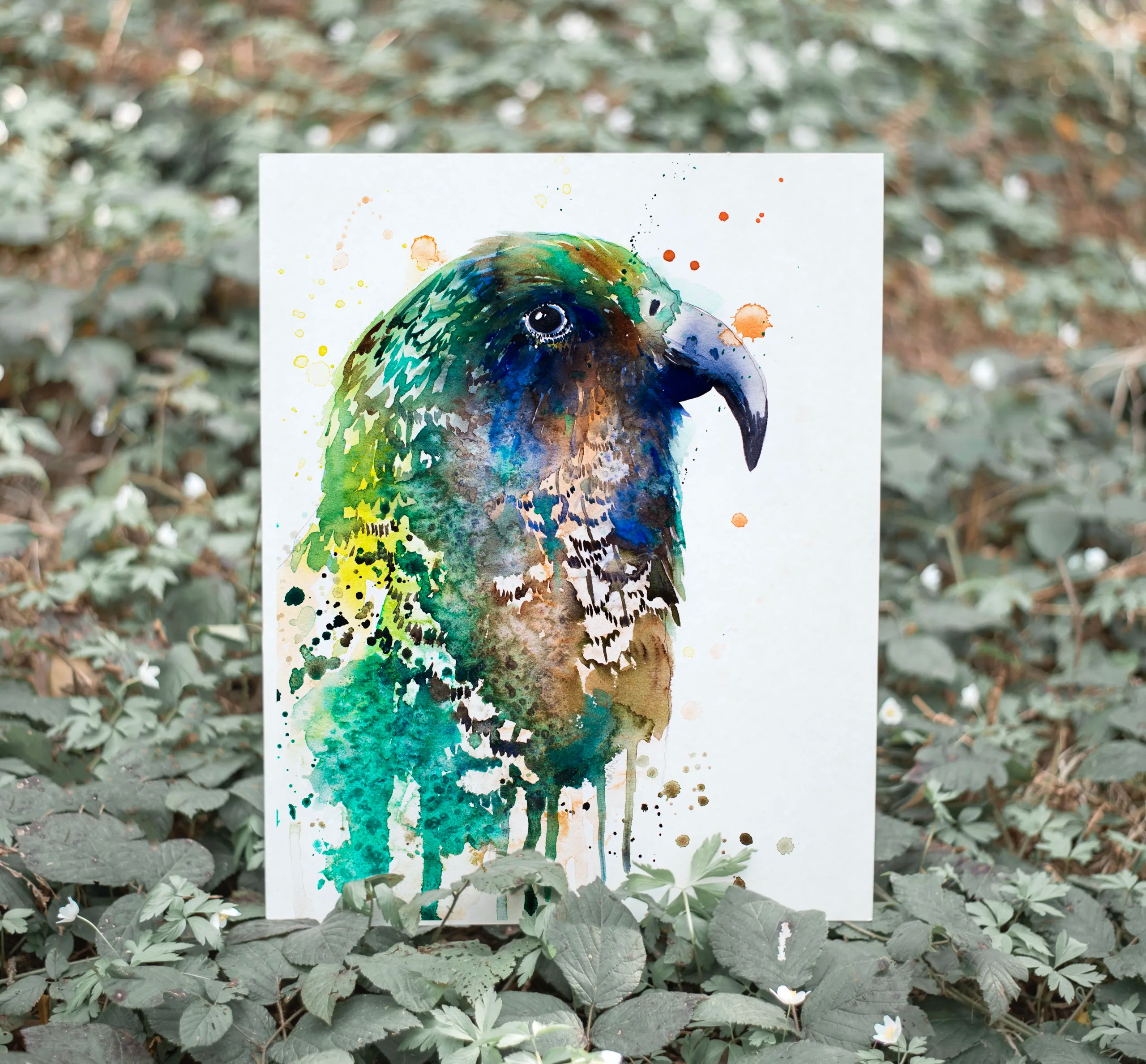 Kea watercolor painting print by Slaveika Aladjova, art, animal, illustration, bird, home decor, wall art, gift, Wildlife