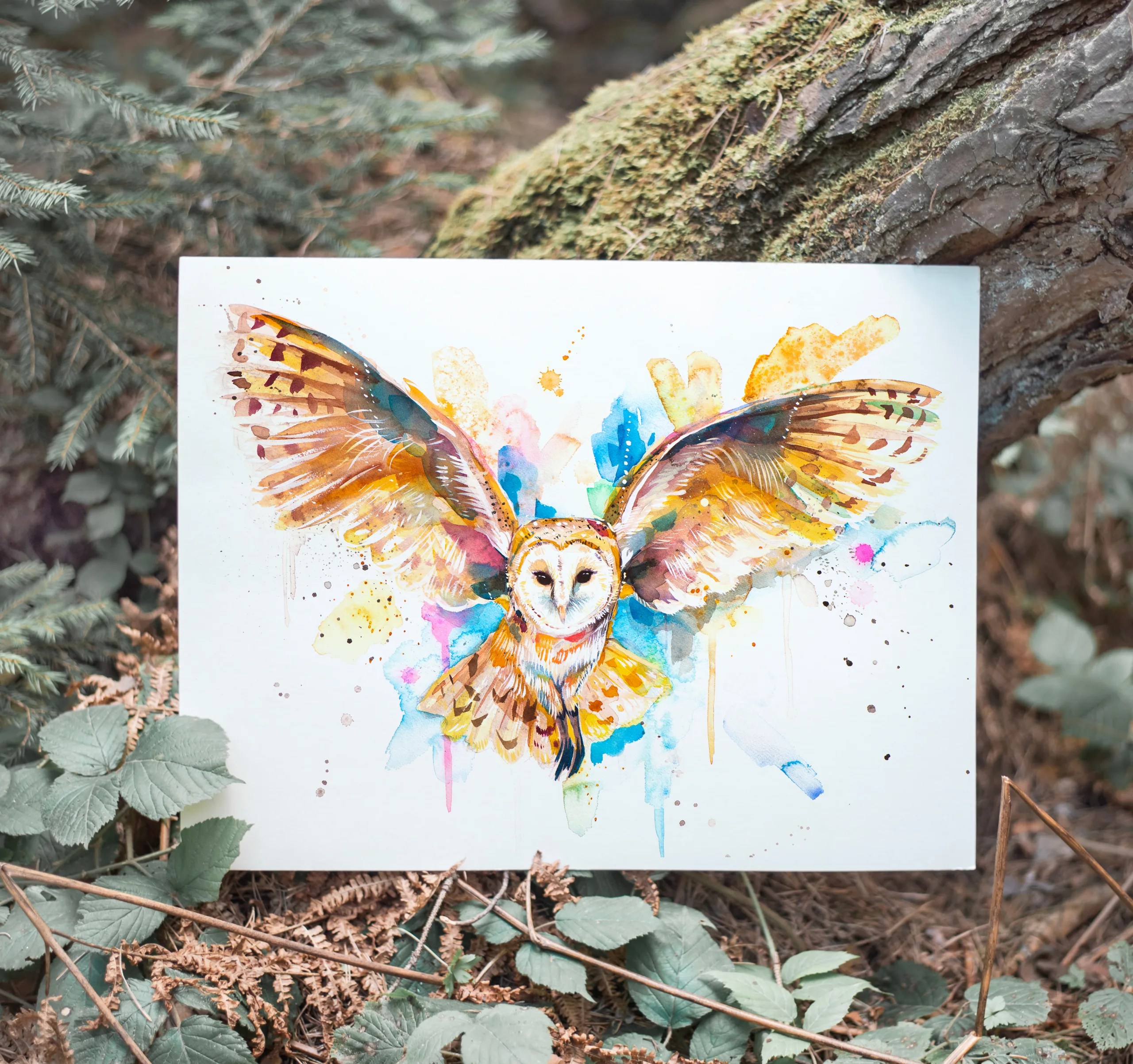 Barn owl