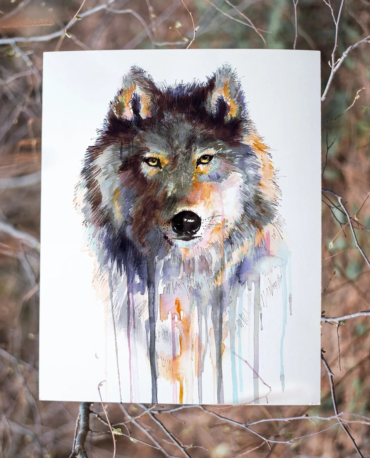 What Collectors Say 42 Grey wolf