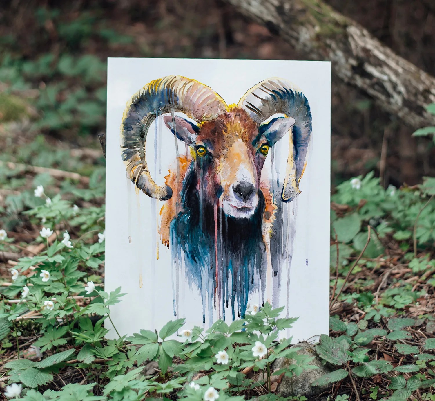 Mouflon watercolor painting print by Slaveika Aladjova, ram, art, animal, illustration,