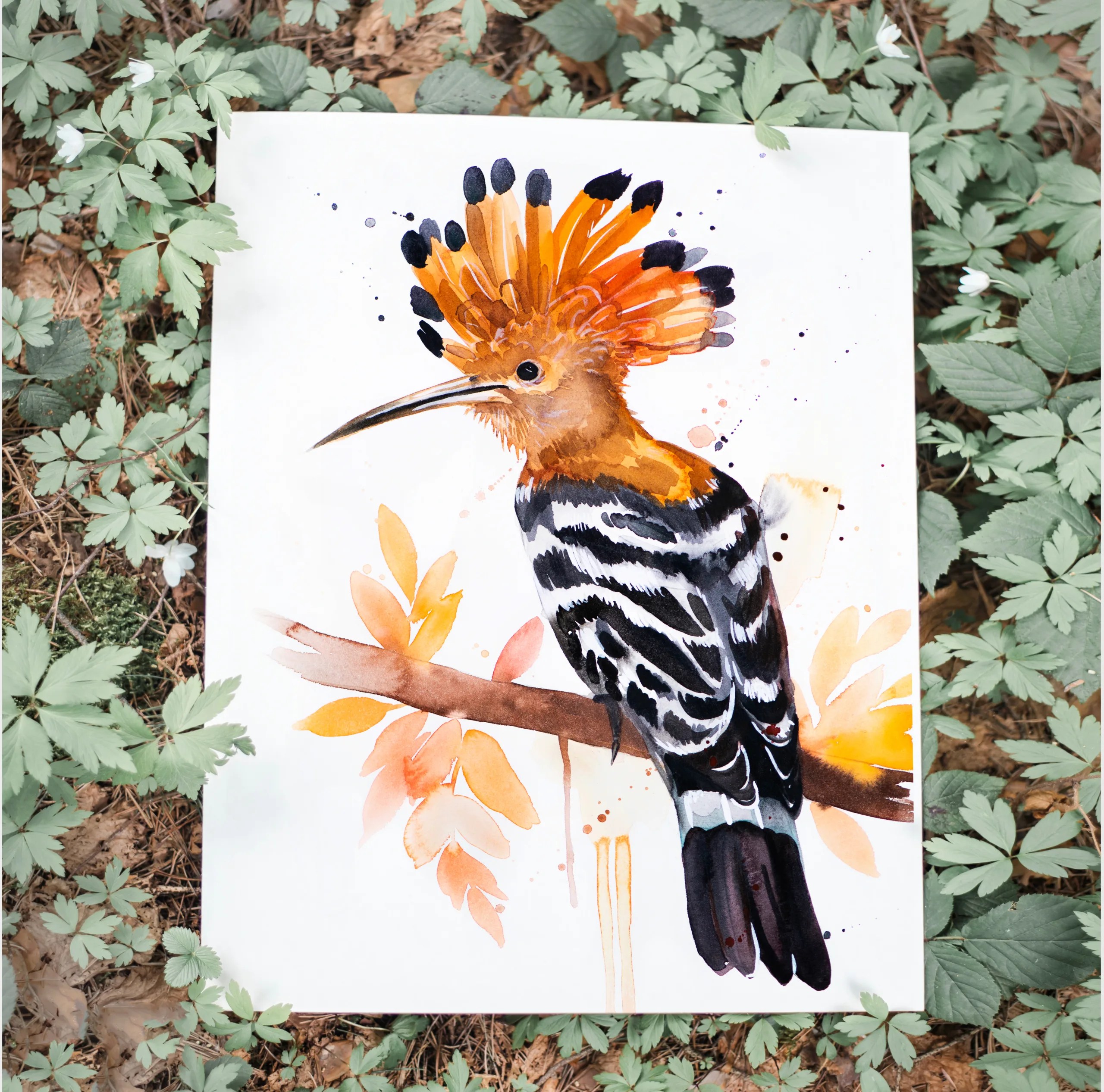 Hoopoe watercolor painting print by Slaveika Aladjova, art, animal, illustration, bird, home decor, wall art, gift, portrait,