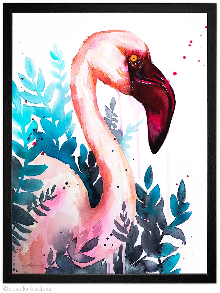 Lesser flamingo