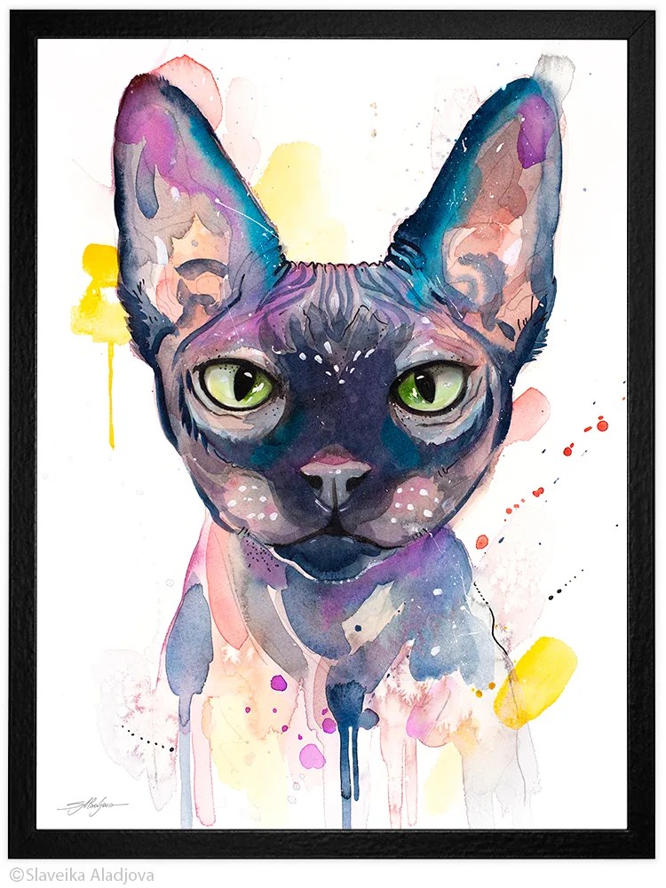 Sphynx cat