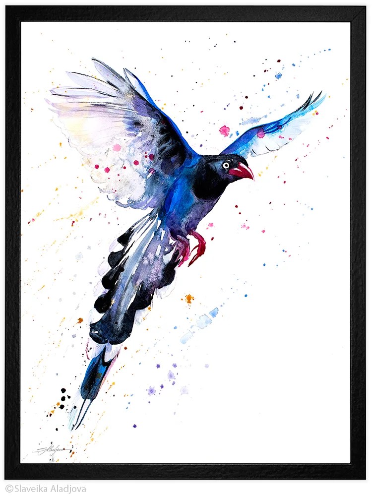 Taiwan Blue Magpie