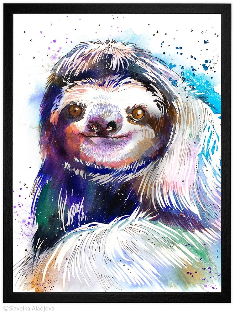 Three-toed sloth