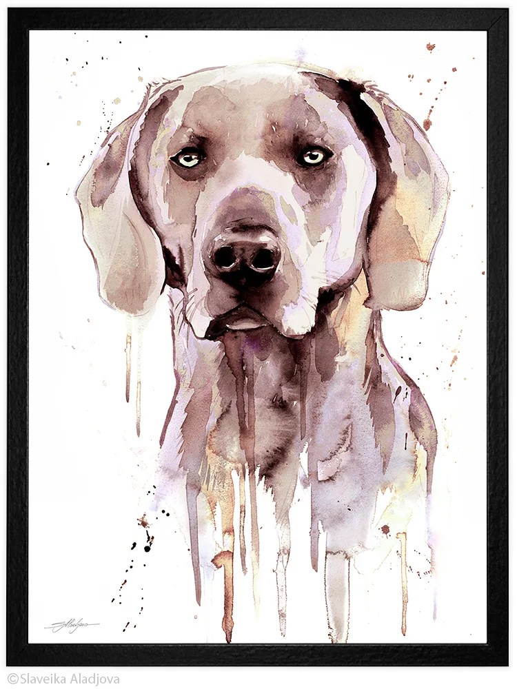 Weimaraner watercolor painting print by Slaveika Aladjova