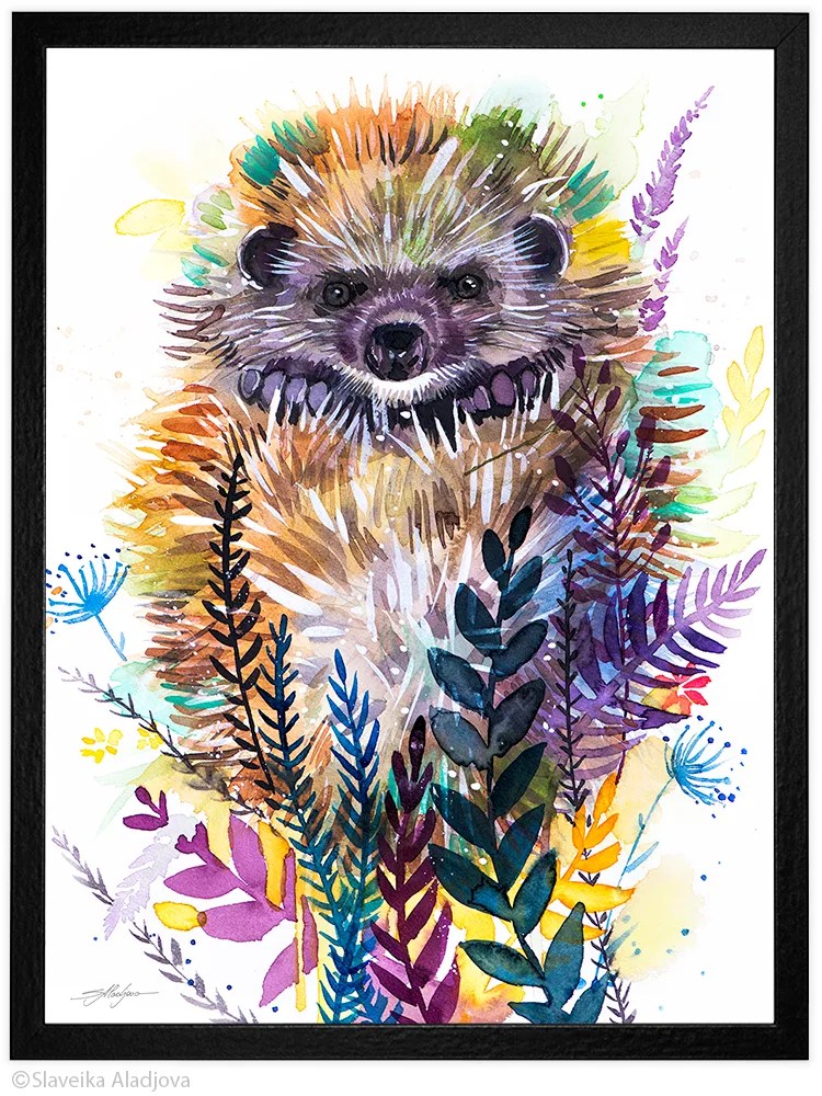 Woodland hedgehog
