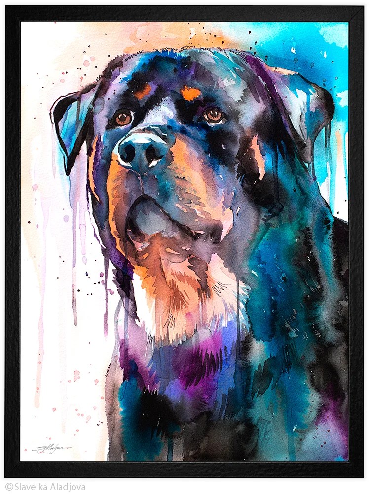 Rottweiler